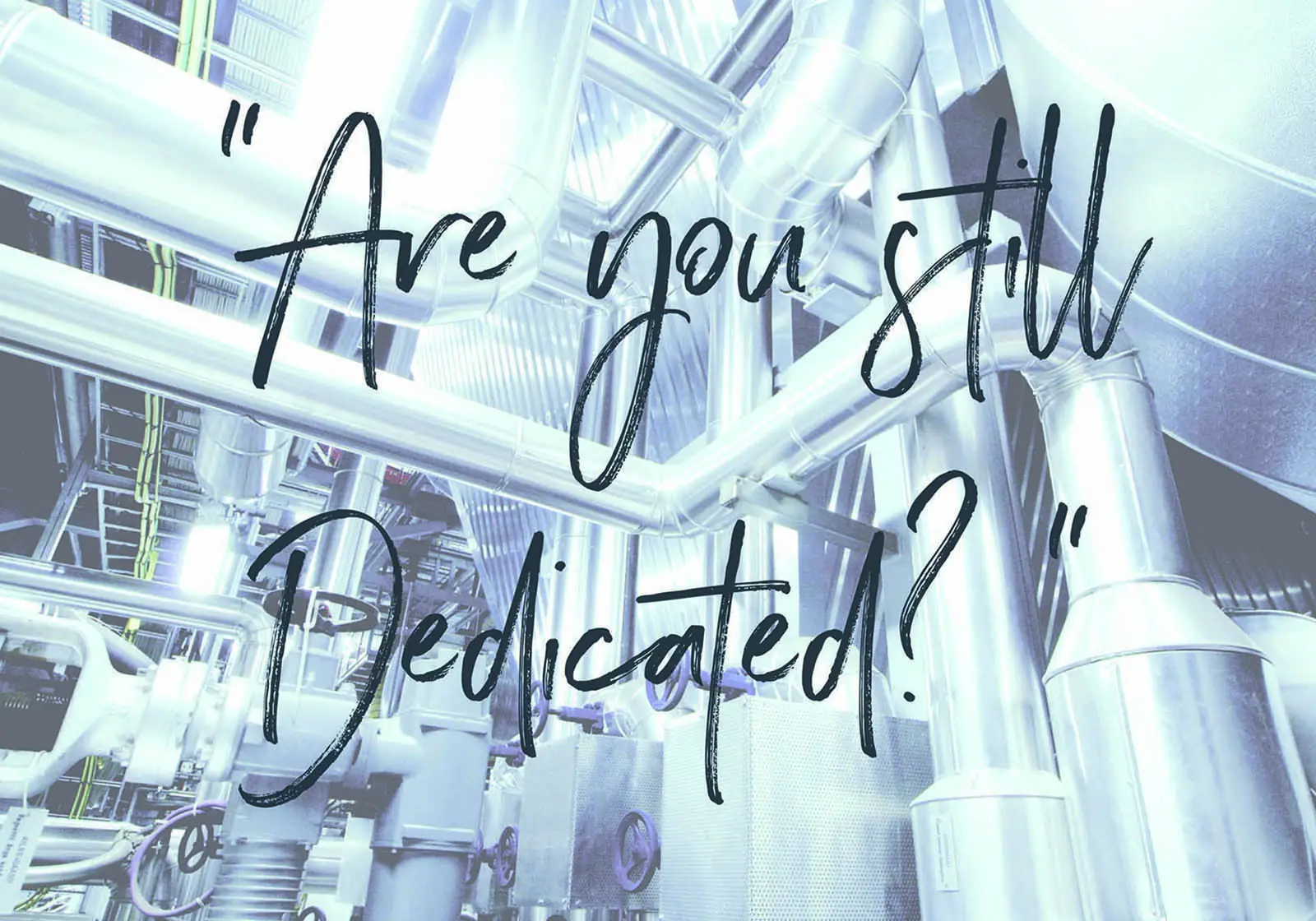 “Are you still Dedicated?”